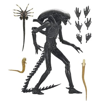 Figura Ultimate Xenomorph Alien: Romulus 18cm